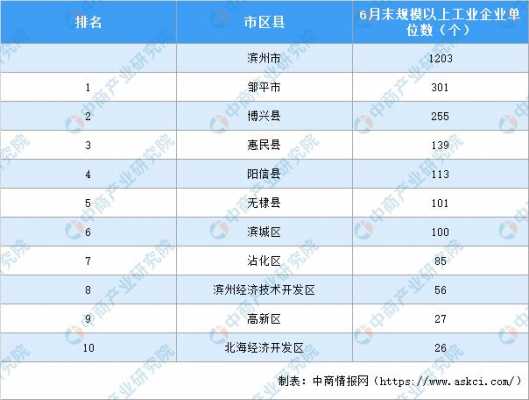 滨州市人均收入（滨州市2020年人均收入）-图3