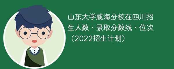 山大威海分校老师收入（山大威海分校招聘简章）-图3