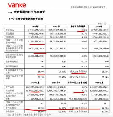 2001年万科收入（万科地产年收入）-图2