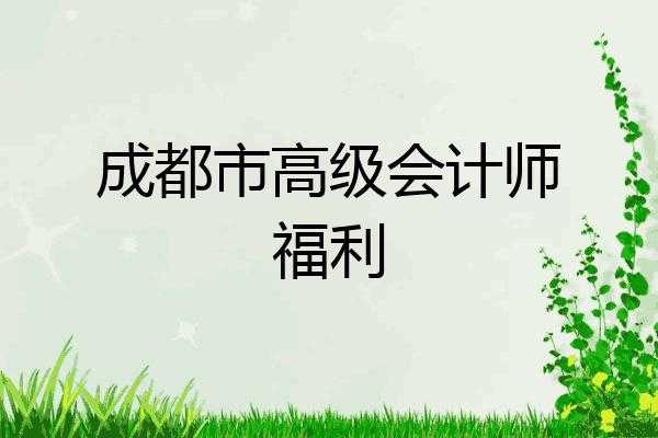 成都注册会计师收入（成都注册会计师收入高吗）-图3