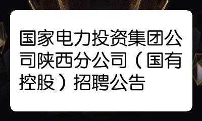 陕西能源集团收入（陕西能源集团公司招聘）-图1