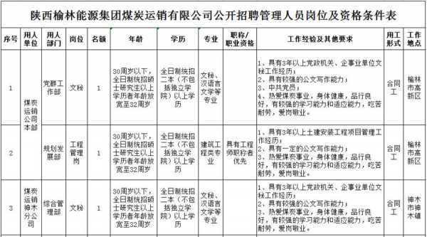 陕西能源集团收入（陕西能源集团公司招聘）-图2