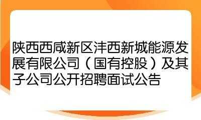 陕西能源集团收入（陕西能源集团公司招聘）-图3