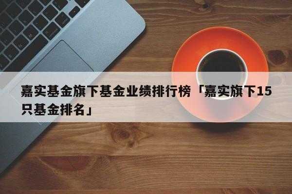 嘉实基金收入排名（嘉实基金旗下基金业绩排行榜）-图3