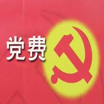 有副业的收入（副业的收入缴纳党费吗）-图2