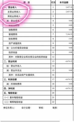 收入指利润（收入指利润吗）-图3