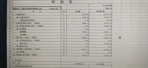 收入指利润（收入指利润吗）-图2