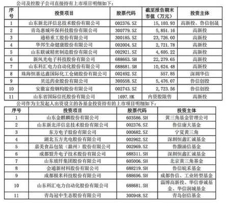 鲁信投资收入（鲁信创投投了哪些公司）-图1