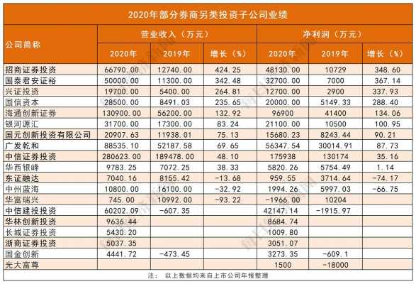 投资公司收入（投资公司收入高吗）-图2