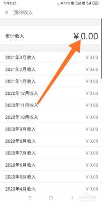 查看收入软件（查看收入明细）-图1