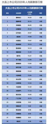 大连软件收入（大连软件公司工资）-图1