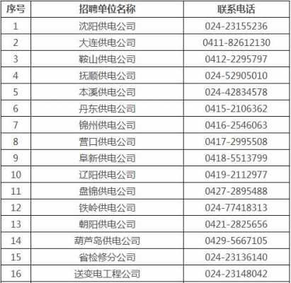 辽宁国网员工收入（辽宁国网员工收入如何）-图1