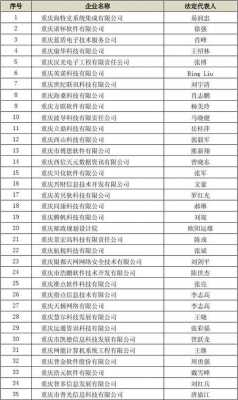 重庆软件公司收入（重庆软件公司收入怎么样）-图3