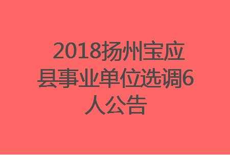 宝应县事业单位收入（宝应县事业编制工资）-图3