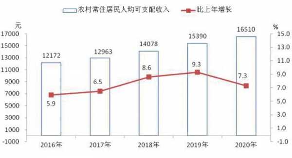 2010农村收入（2020年农村年收入）-图2