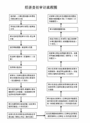 收入真实性审计（收入真实性审计程序）-图1