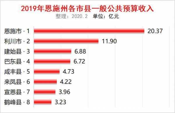 恩施财政收入2019（恩施财政收入2020）-图1