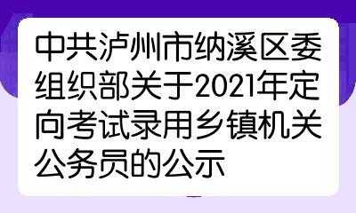 纳溪公务员收入（泸州纳溪区乡镇公务员待遇）-图1