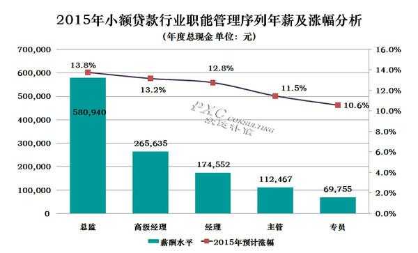 小额贷款员收入（小额贷款公司薪酬制度）-图3