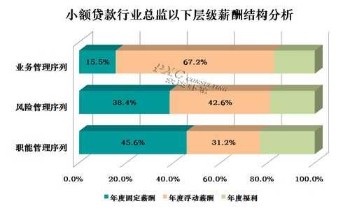 小额贷款员收入（小额贷款公司薪酬制度）-图2