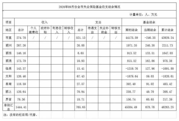 专用基金收入结余（专用基金收入结余会计分录）-图1