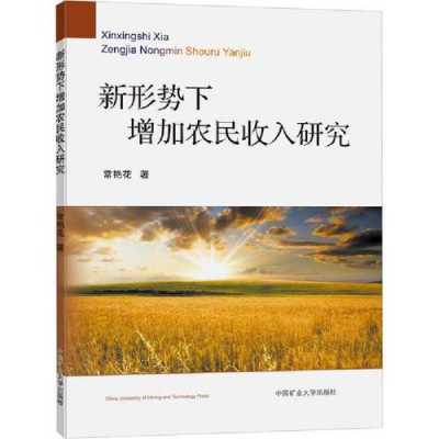 增加农民收入措施（增加农民收入的对策研究）-图2