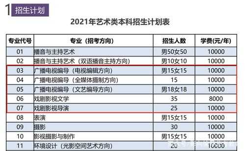 编导收入（编导工资高不高）-图3