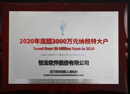 智业软件收入（智业软件上市2021）-图1