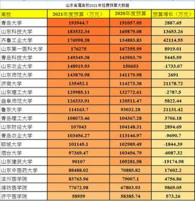 青岛大学收入（青岛大学收入多少）-图1