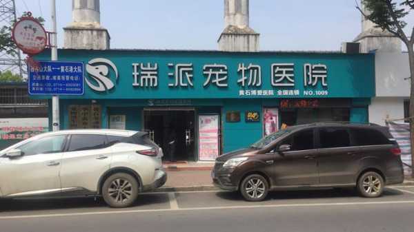 瑞派宠物收入（瑞派宠物店怎么样）-图3