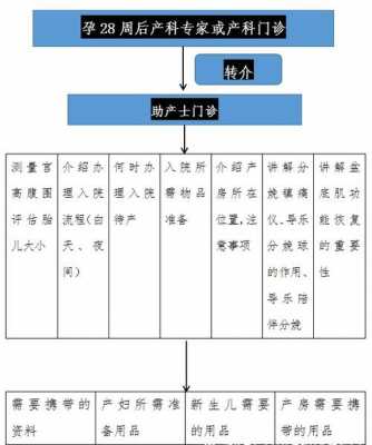 助产士收入怎样（助产士收入怎样计算）-图2