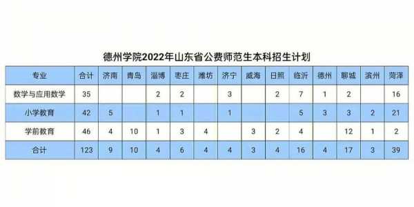 德州学院教师收入（德州学院教师工资）-图1