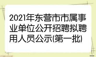 东营事业编制收入（东营事业编制收入高吗）-图2