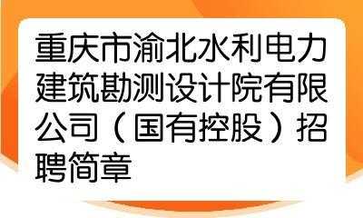 重庆电力设计收入（重庆电力设计收入怎么样）-图1