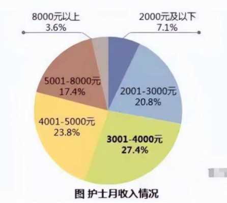 护士的收入如何填写（护士薪资待遇怎么写）-图3