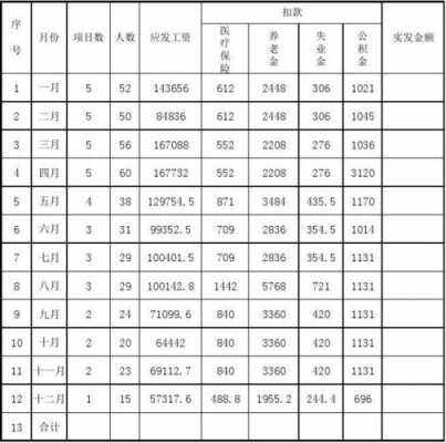 项目总工收入（项目总工年收入）-图1