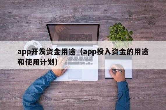 程序开发收入来源（软件开发资金来源）-图1