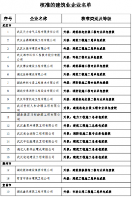 湖北造价企业收入排名（湖北造价企业收入排名表）-图3