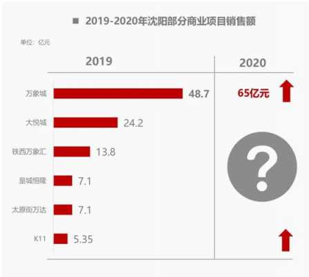 沈阳销售收入（沈阳收入占比）-图2