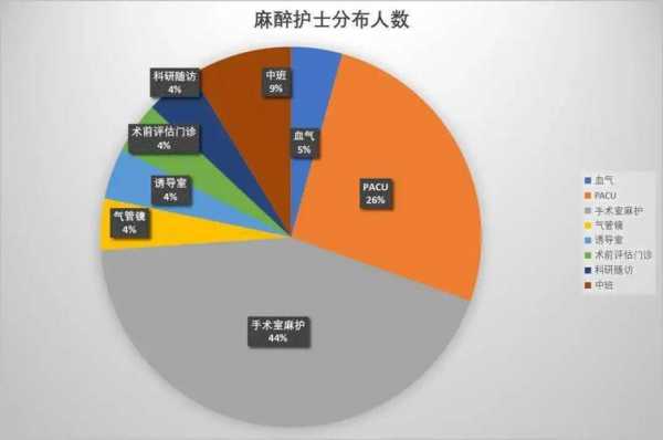 澳洲麻醉护士收入薪酬（澳洲麻醉护士收入薪酬多少）-图1