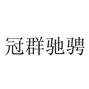 冠群驰骋收入（冠群弛骋公司）-图3