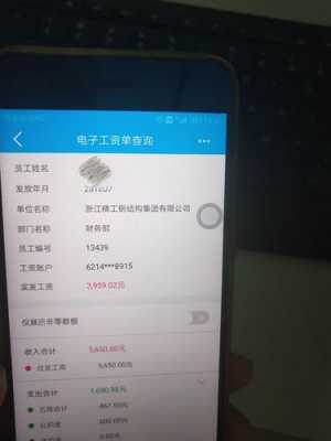 工资收入查询（个人工资收入查询系统）-图2