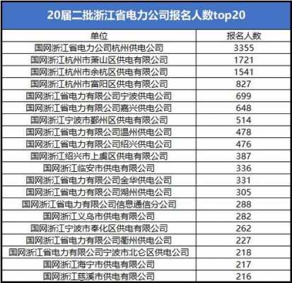 嘉兴电网收入（嘉兴电网收入多少）-图1