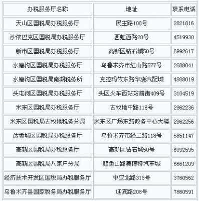 乌鲁木齐国税收入（乌鲁木齐一年税收）-图2