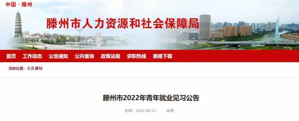 滕州人均收入（滕州人均收入工资2022）-图3