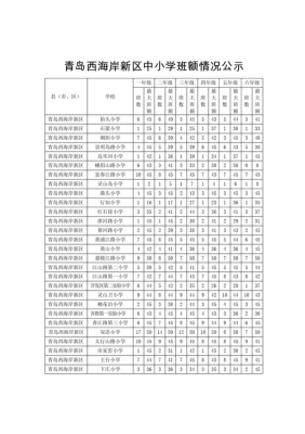 青岛小学老师收入（青岛小学老师多少钱一个月多少钱）-图2