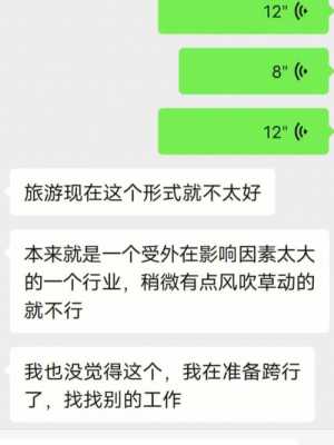 导游的收入是多少（导游的收入是多少人民币）-图1