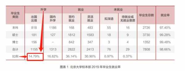 北大博士收入（北大博士收入怎么样）-图2