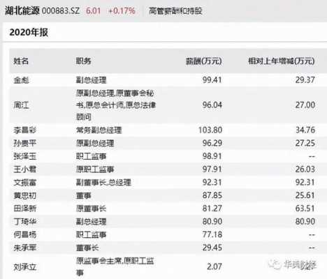 董事工资收入（董事工资由谁决定）-图3