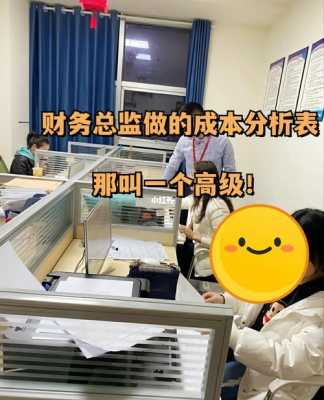 财会总监的收入（财务总监会计总监）-图2